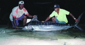 21 rechts 'Bubui' Thode, vis Balau, Blue Marlin